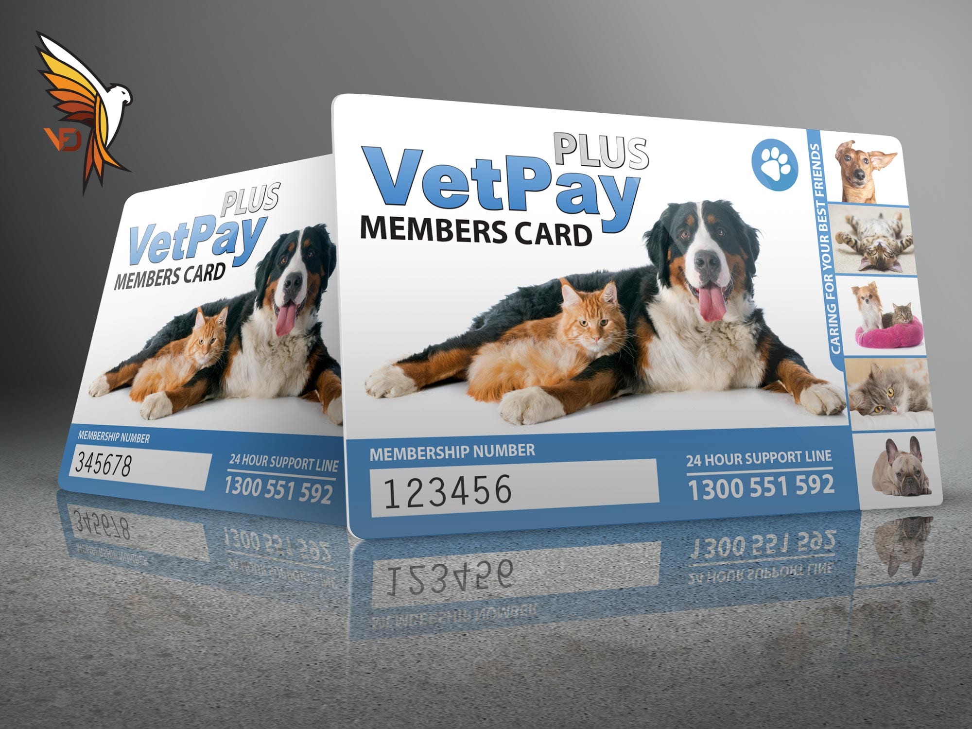 Reunite Membership Card
