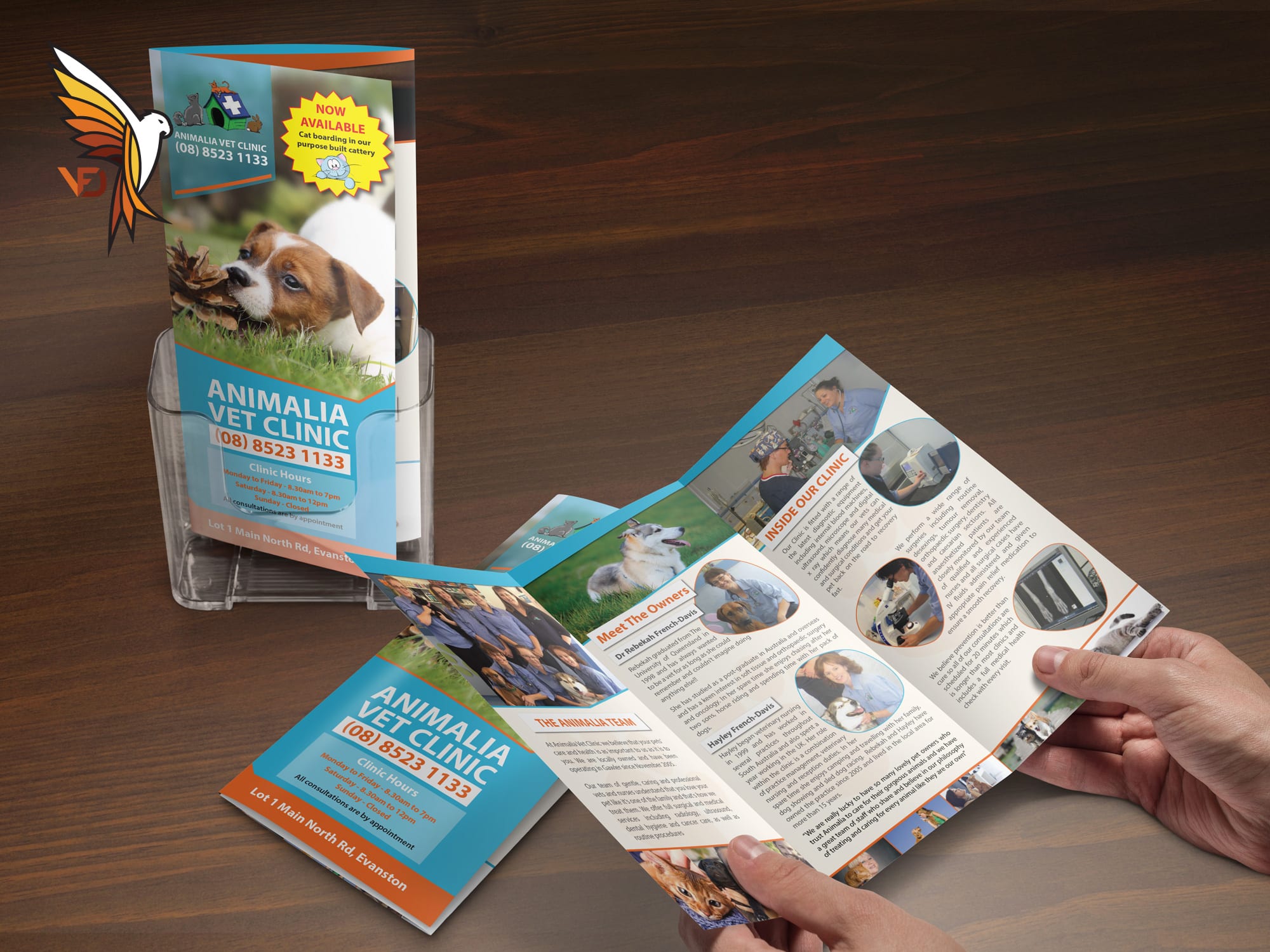 Animalia - Flyer Design